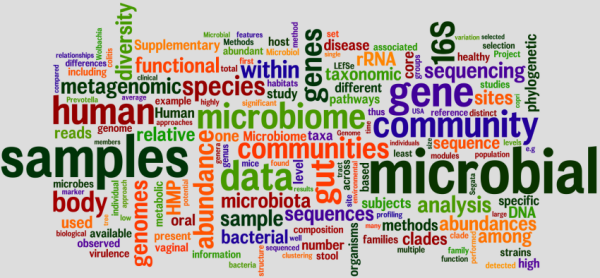 Wordle: CibioCM